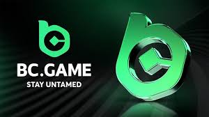 Exploring the BC.Game Platform A New Frontier in Online Gaming in Brazil