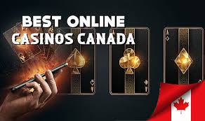 The Best Online Casino Top Picks for 2023 The Best Online Casino Top Picks for 2023